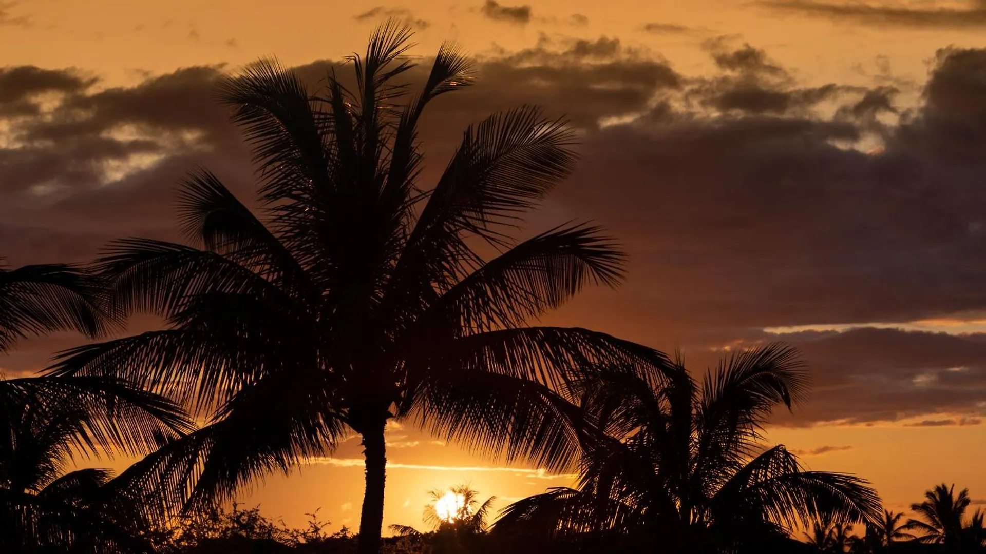 Island View Impeccable 4Br Kamilo Home With Impressive Views Bikes Waikoloa USA
